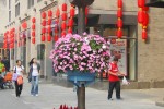 建筑區域景觀提升1