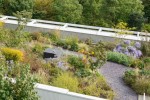 CBD大樓景觀提升屋頂花園