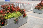 廣場公園及其他景觀提升1廣場