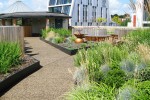 公共場所景觀提升學(xué)校屋頂花園