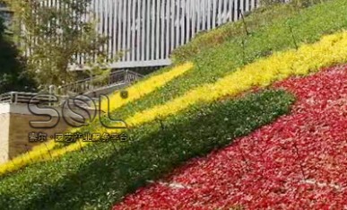 邊坡綠化