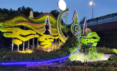 項目夜景展示