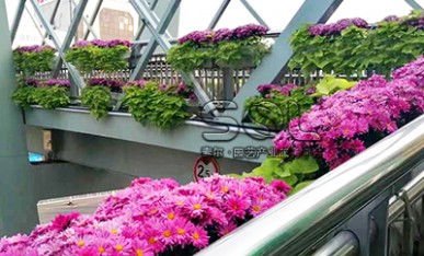 道路景觀提升