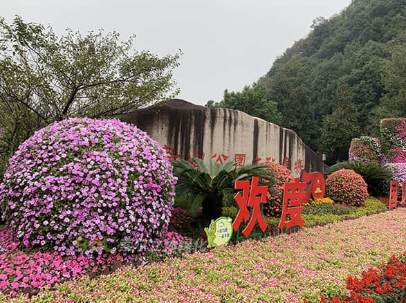國慶杭州余杭廣場景觀提升
