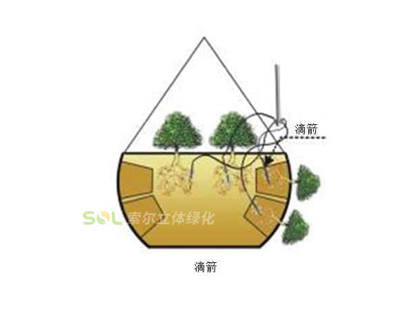 燈桿綠化-吊籃球及立體吊盆灌溉示意圖