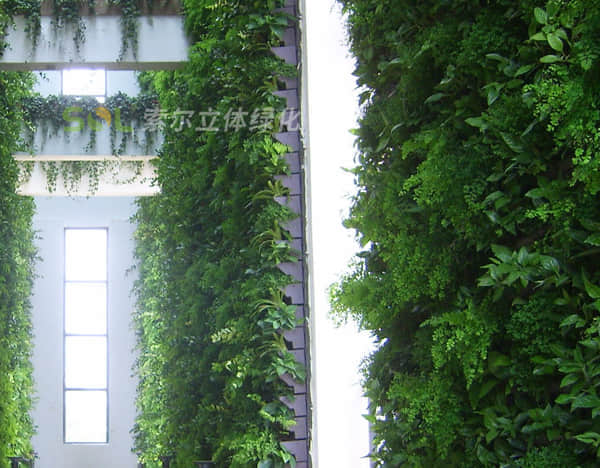 植物墻綠化解決方案簡介2