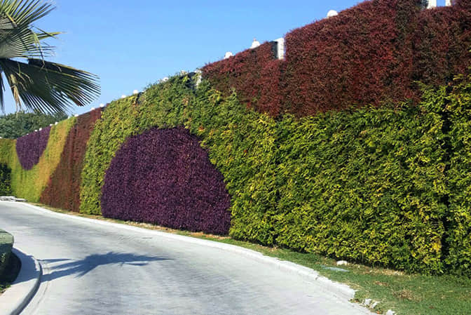 道路景觀提升圍墻植物墻