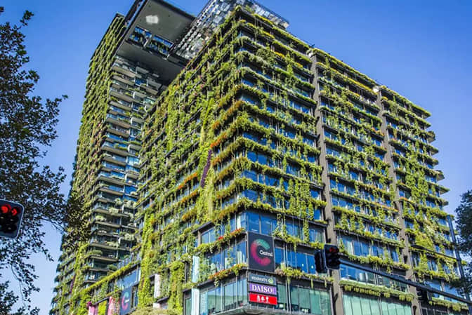 商業綜合體景觀提升建筑垂直綠化