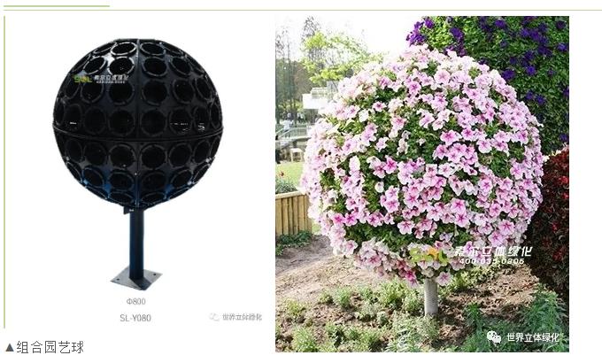 21組合花球.jpg