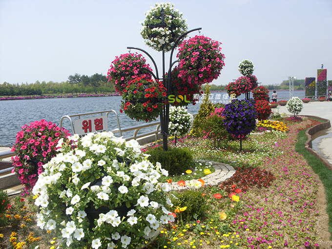 31景觀花樹07.jpg