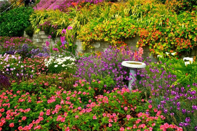 01花園.jpg