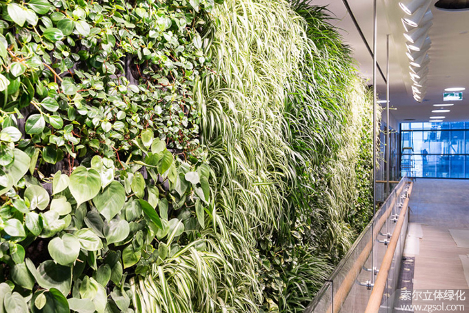15室內植物墻.jpg