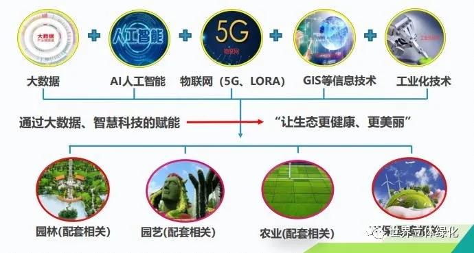 640.webp (11).jpg