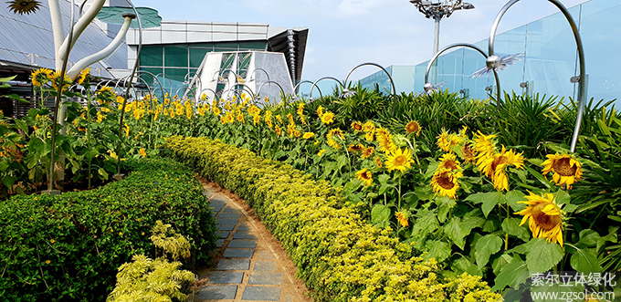 20新加坡樟宜機場向日葵屋頂花園 .jpg