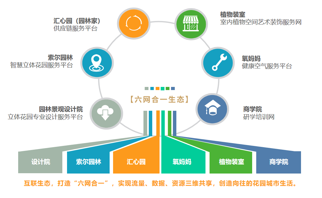 六網合一生態